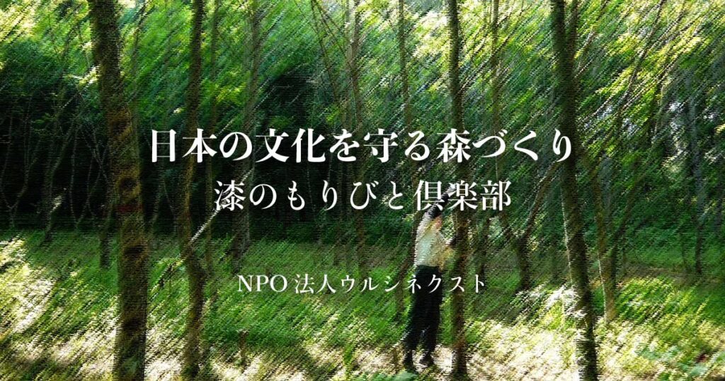 支援する 日本の文化を守る森づくり 漆のもりびと倶楽部 Npo法人ウルシネクスト