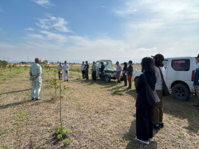 会津若松で令和7年度「特用樹のめぐみの再発見事業」を受託！
10月3日（金）、会津若松市北会津でウルシネクストと協働でウルシ畑の肥培管理を行っている会津UV漆グループが、福島県より令和7年度「特用樹のめぐみの再発見事業」を受託したことに伴い、同グループ主催の植栽地の育成視察に関係者として参加してきました。

「特用樹のめぐみの再発見事業」は、特用樹（漆や桐）の栽培やPR活動において、企画性や地域貢献度等に優れた事業計画に対して補助の対象とするもので、会津若松の漆の伝統文化を広めるために、荒れて使われていない畑を肥培管理地としてウルシの植林事業にチャレンジしている点が評価されました。

会津管内での漆の生産の拡大、地域の漆文化のPR、漆の地産地消などの付加価値創出とともに、同グループを構成する企業による漆関連技術継承者の定着化等に繋がることが期待されています。

当日は、福島県会津農林事務所、金山町役場、NPO法人はるなか漆部、ハイテクプラザ会津、一社）AiCTコンソーシアム、漆作家、漆搔き師、ウルシ苗生産者など地元の関係者に加え、ウルシネクストに長年ご支援いただき、会津若松へのウルシ苗の提供でもお世話になっている公財）お金をまわそう基金の事務局の方など約25名が参加。奥久慈漆生産組合から専門家の神長正則顧問をお招きし、昨年に引き続きウルシ苗の育成状況や土壌の状態確認を踏まえて、今後の育成に向けたご指導をいただきました。

ここ北会津の植栽地では、この後も助成事業の一環として、未整備部分の畑約1,000㎡の耕作を行い、今シーズン中に70～100本程度の追加の植栽を行う計画です。

今回、漆に関わる様々な分野の方々と直接お会いし、情報共有や意見交換を行う大変良い機会となりました。
会津UV漆グループの皆さん（特に事務局の鈴木さん）、事前準備や当日の運営大変お疲れさまでした！　当助成事業はこの後も続きますが、引き続きよろしくお願いいたします！